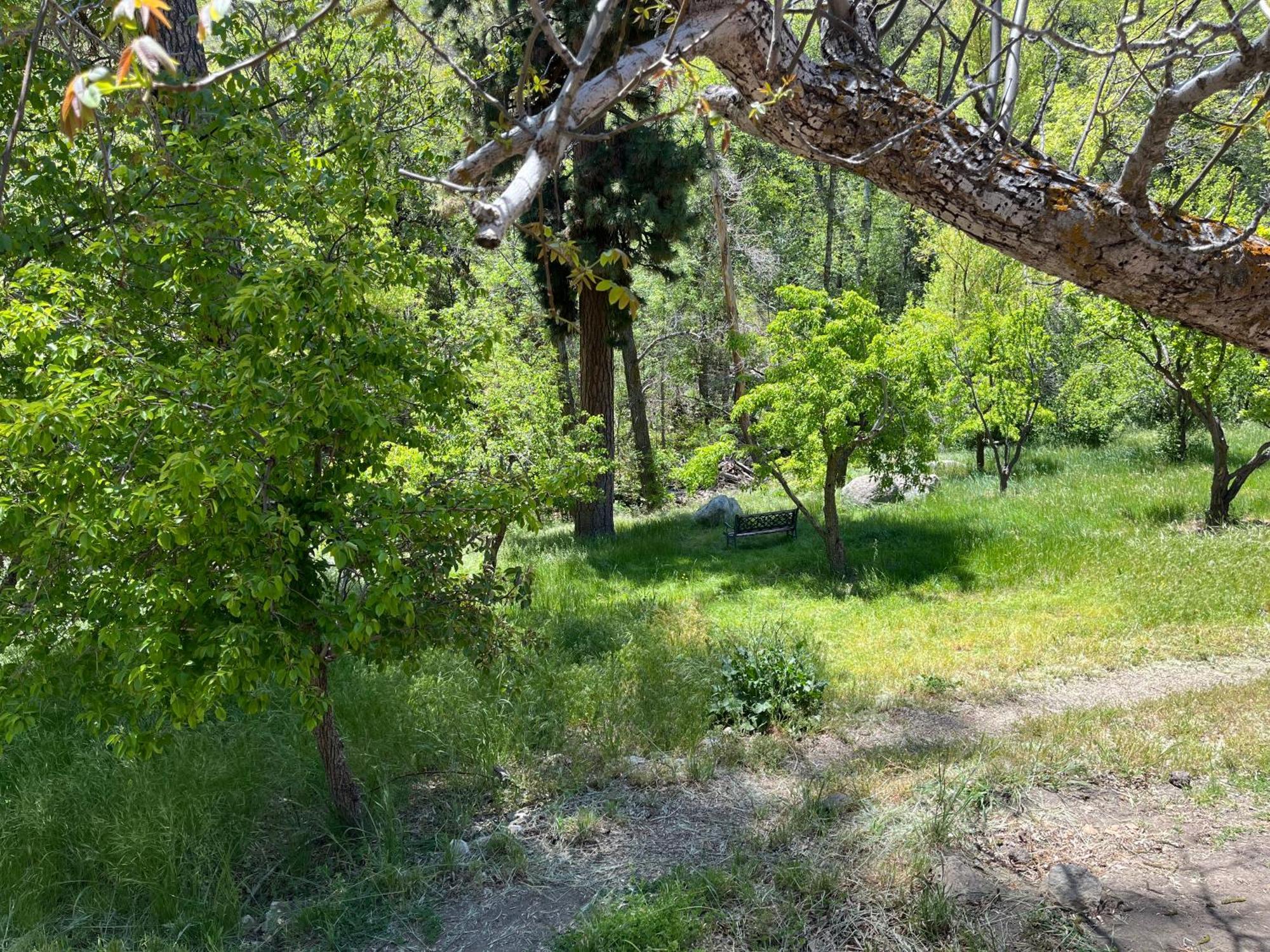 קרנוויל Quiet Mind Lodge, Spa & Retreat Sequoias מראה חיצוני תמונה